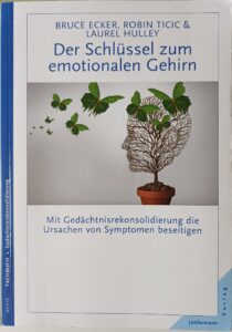Buch Kohärenztherapie
