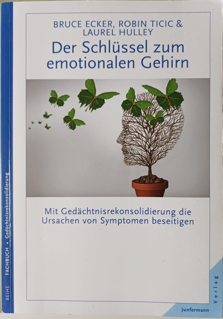 Buch Kohärenztherapie